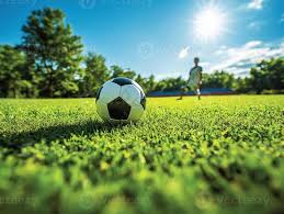 赛事组织者场景